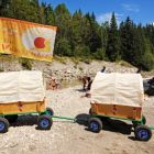 Waldschnecken Loferstrand © Eisele Hein